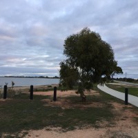 Lake Boga walking/bike track along the foreshore